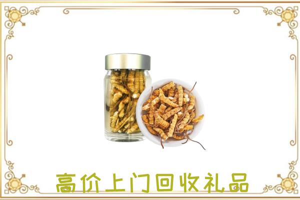 大丰周边回收虫草